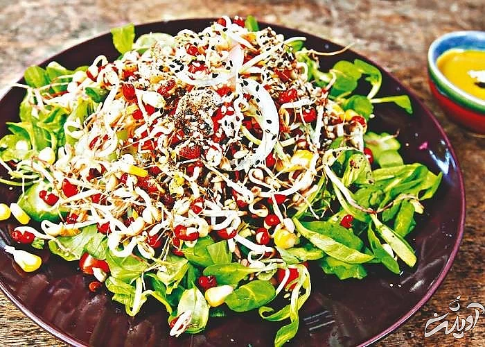 سالاد کاهو و جوانه گندم 